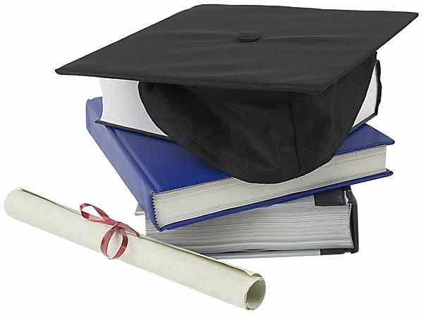 <span style="font-weight: bold;">Academia  </span>